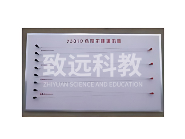 电阻定律演示器