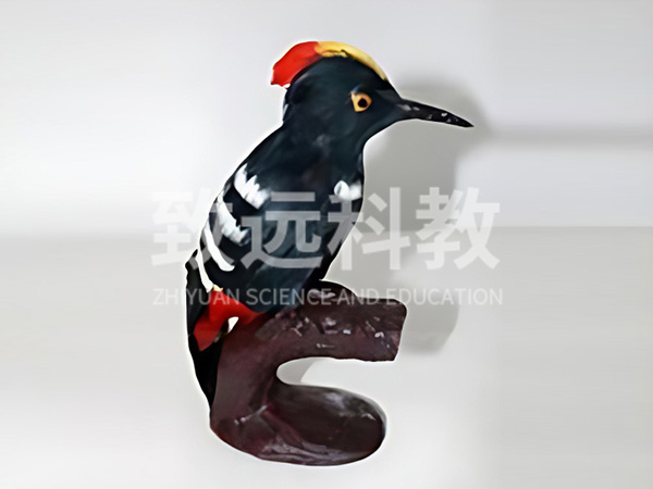 啄木鸟仿真模型